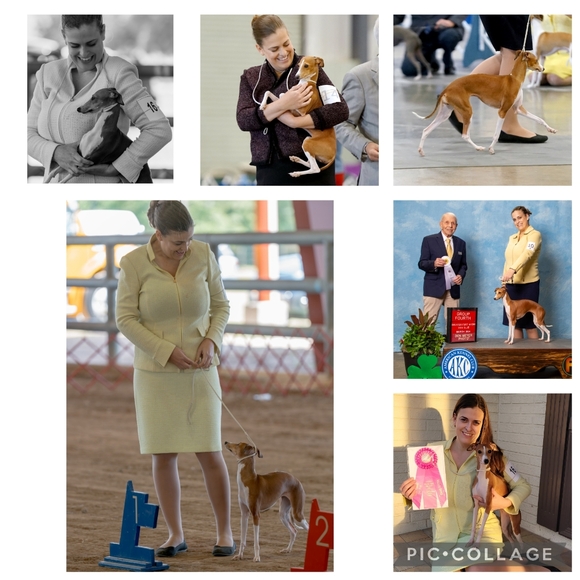 ISO dog show clothing - Picture 2 of 7